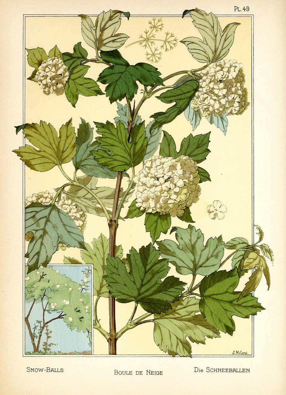 Die Schneebälle von J. Milesi