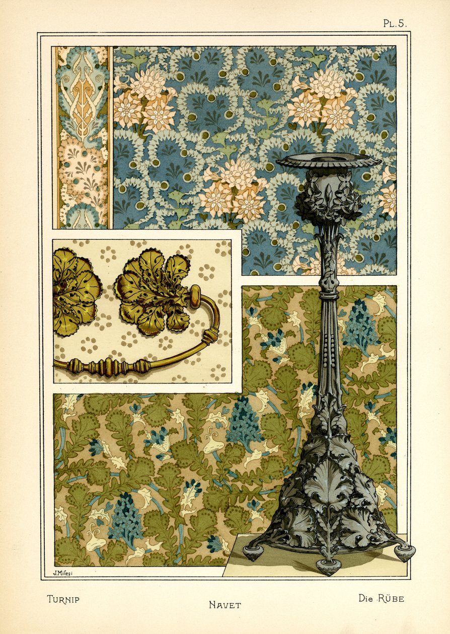 Die Rübe von J. Milesi