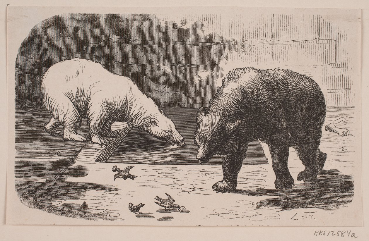 Bären im Jardin des Plantes von J.C. Nielsen