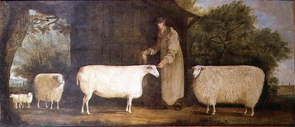 Ein Schäfer mit seiner Herde von J.D. Curtis
