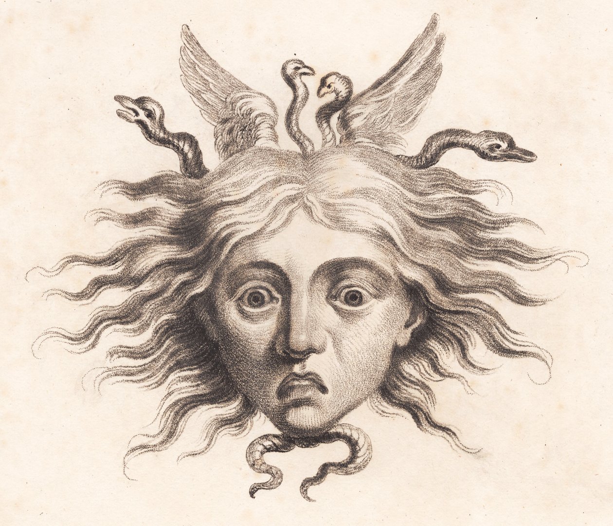 Medusakopf von J.F. Clemens
