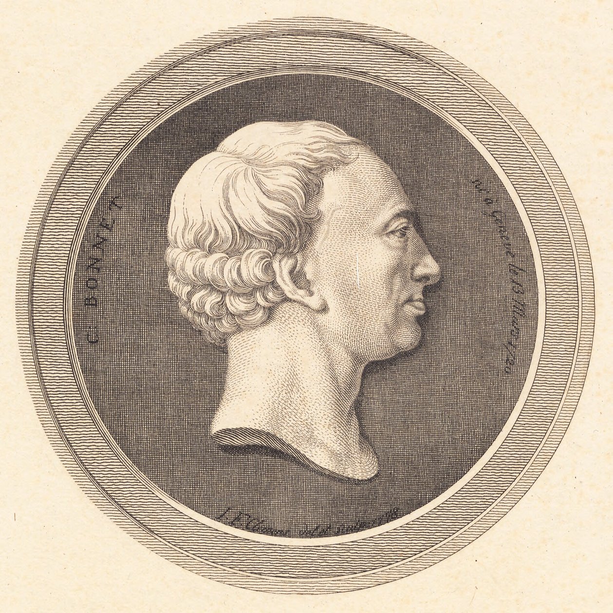 Reliefmedaillon mit Porträt von Bonnet von J.F. Clemens