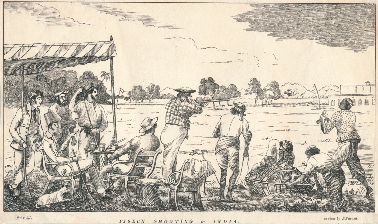 Taubenschießen in Indien von J Bennett