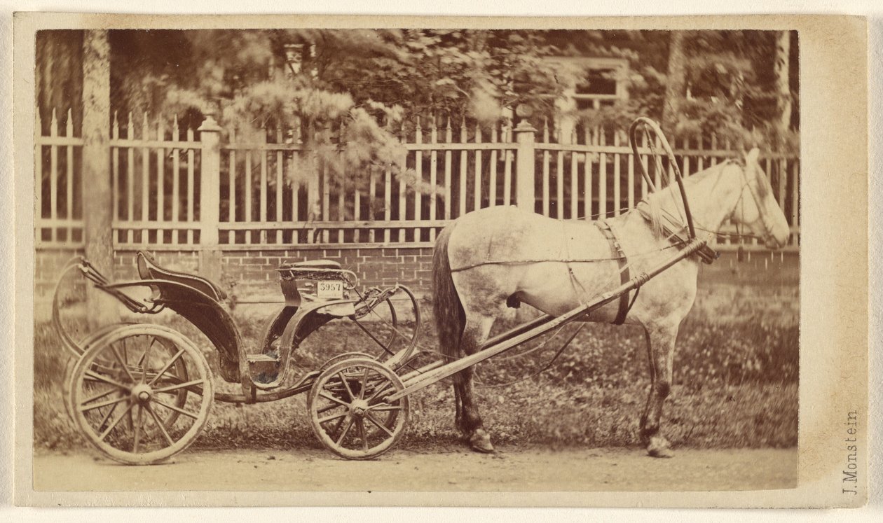 [Kleiner Wagen mit Pferd] von J. Monstein