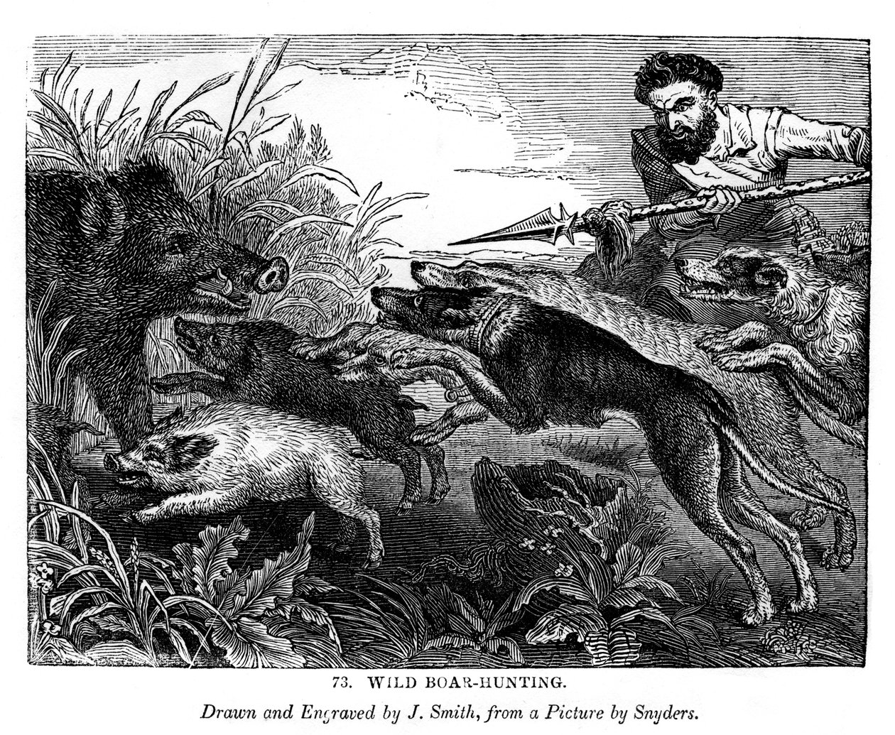 Wildschweinjagd, um 1600-1650 1843 von J. Smith