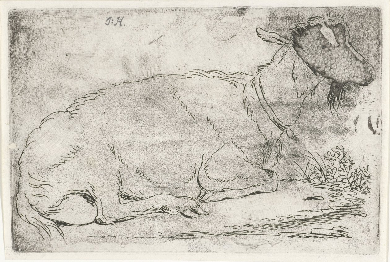 Liegende Ziege von Jabes Heenck (signed by artist)