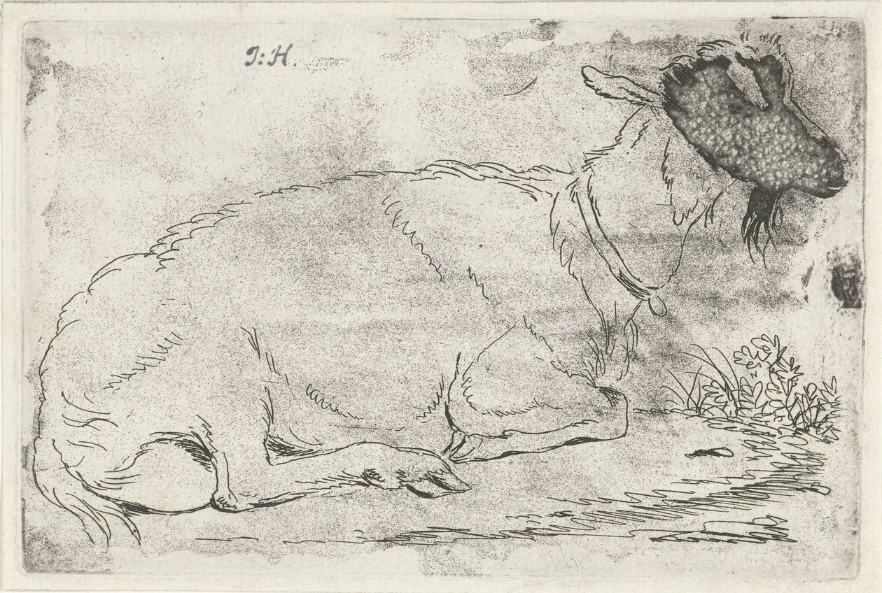 Liegende Ziege von Jabes Heenck (signed by artist)