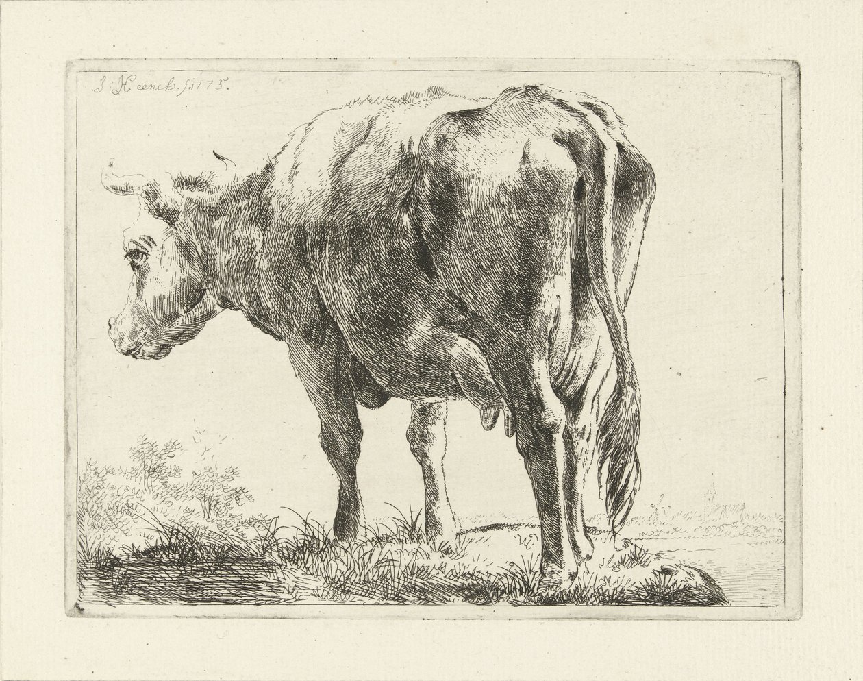 Stehende Kuh von Jabes Heenck
