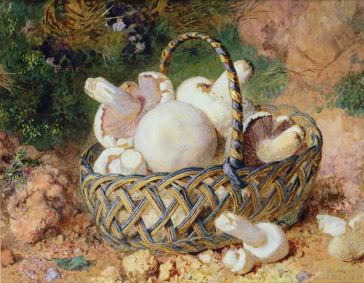 Ein Korb Pilze, 1871 von Jabez Bligh