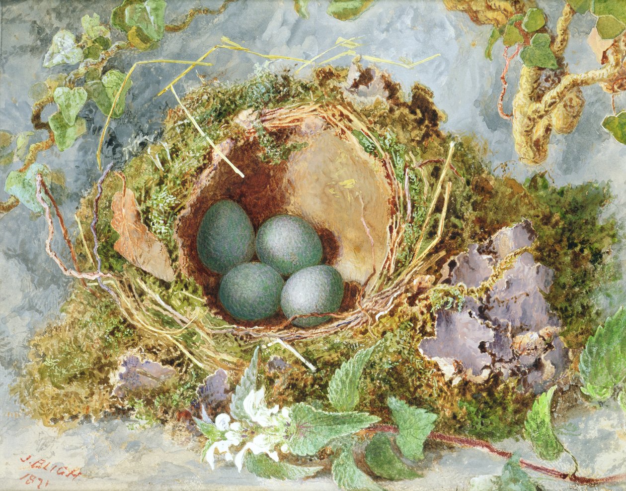 Ein Nest mit Eiern, 1871 von Jabez Bligh