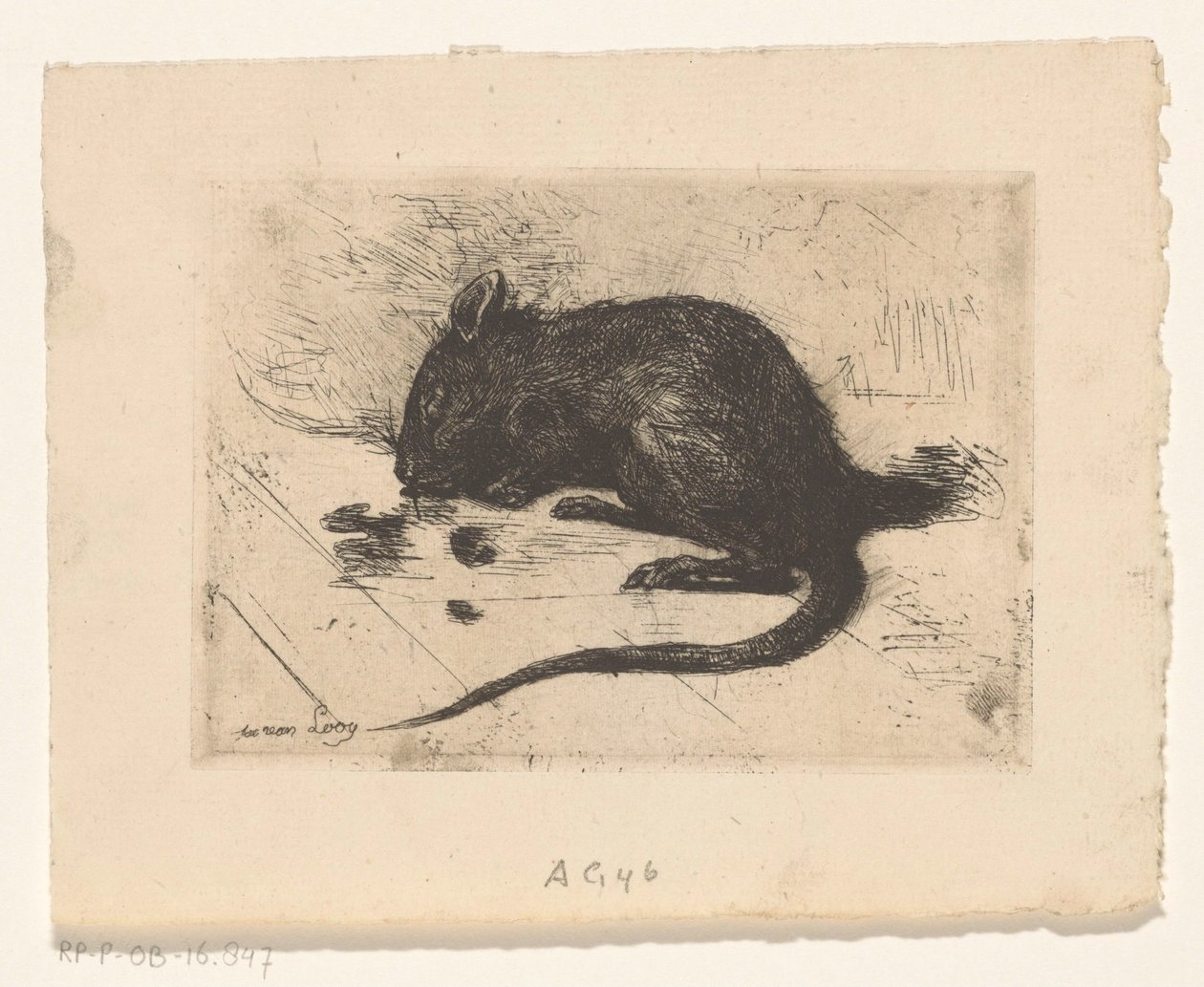 Maus von Jac van Looij
