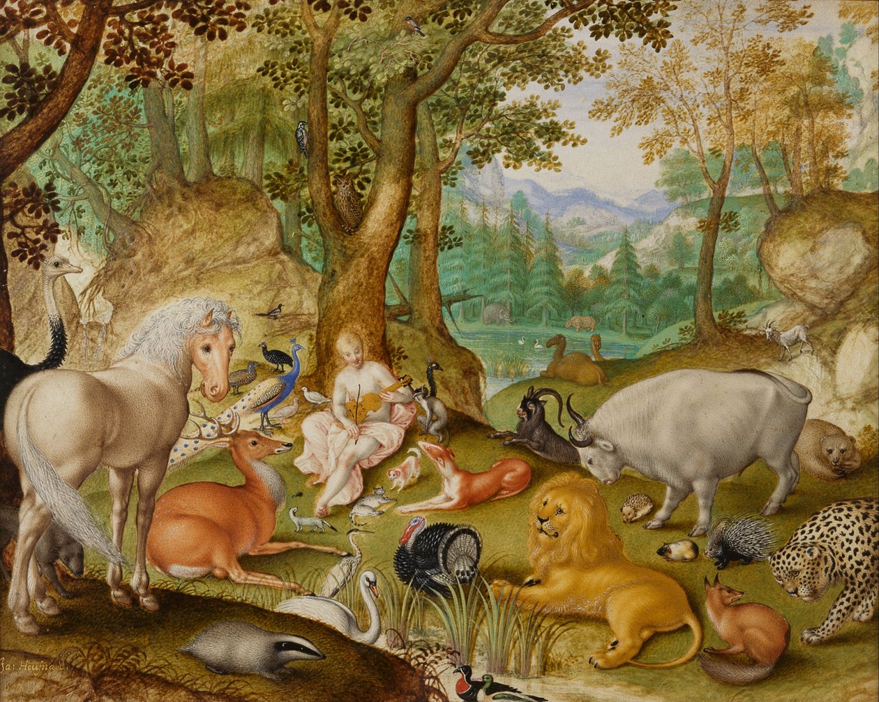 Orpheus bezaubert die Tiere von Jacob Hoefnagel