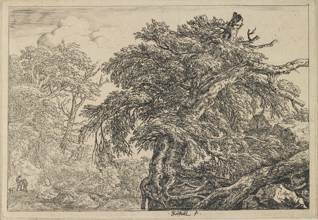 Die große Buche mit zwei Männern und einem Hund, ca. 1650-1655 von Jacob van Ruisdael