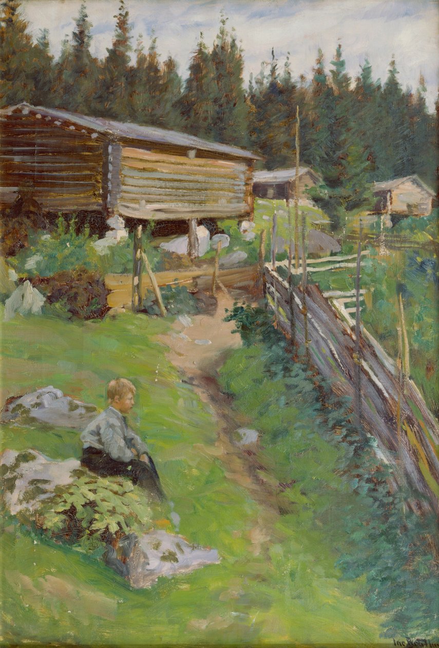 Junger Junge auf der Sommerweide von Jacob Bratland