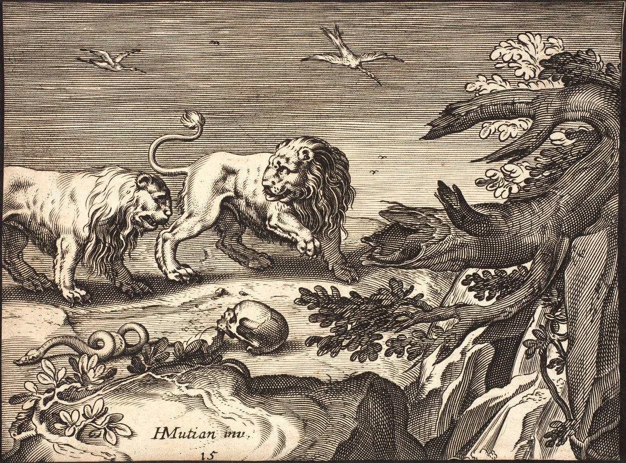 Zwei Löwen in der Natur von Jacob Matham