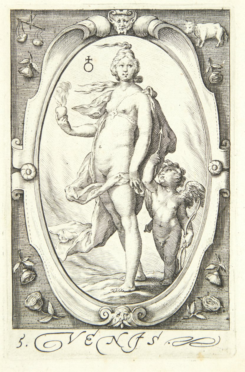 Venus von Jacob Matham