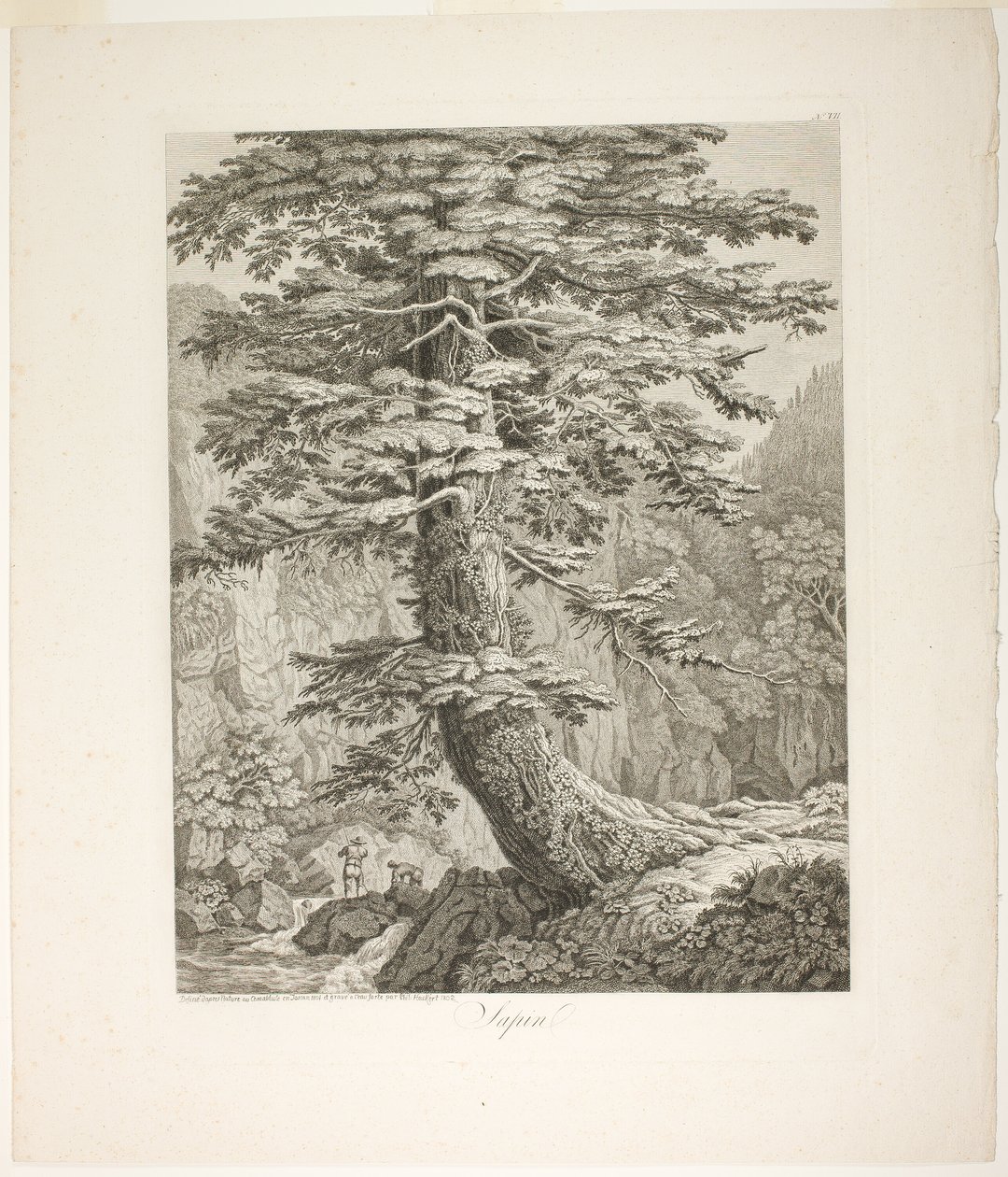 Tannenbaum von Jacob Philipp Hackert