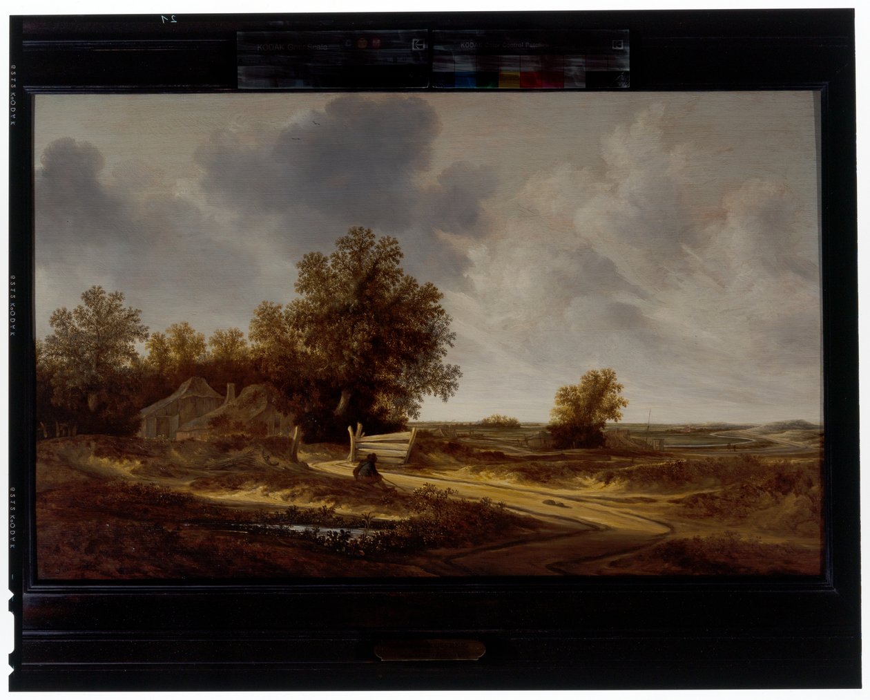 Am Straßenrand von Jacob van Mosscher