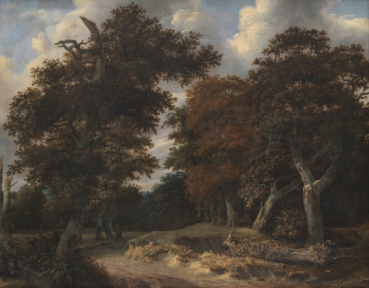 Straße durch einen Eichenwald von Jacob van Ruisdael