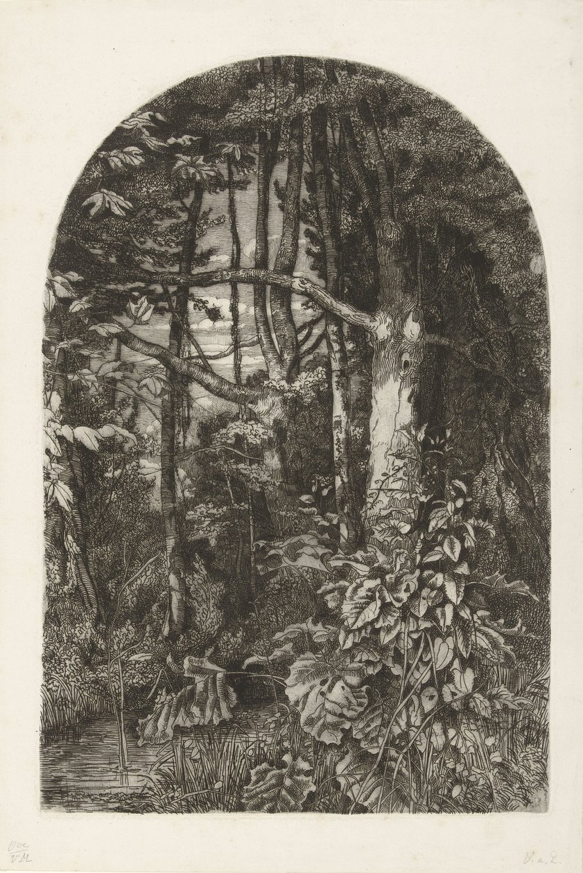 Wald mit Bach von Jacobus Ludovicus Cornet