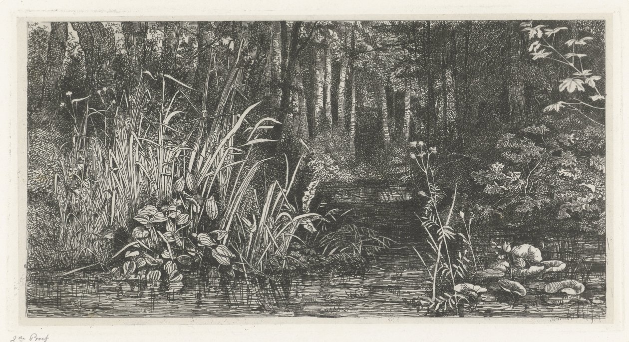 Waldgebirgsbach von Jacobus Ludovicus Cornet