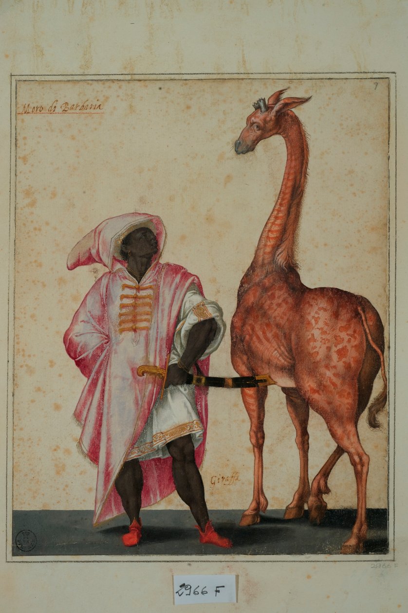 Berber mit einer Giraffe von Jacopo Ligozzi