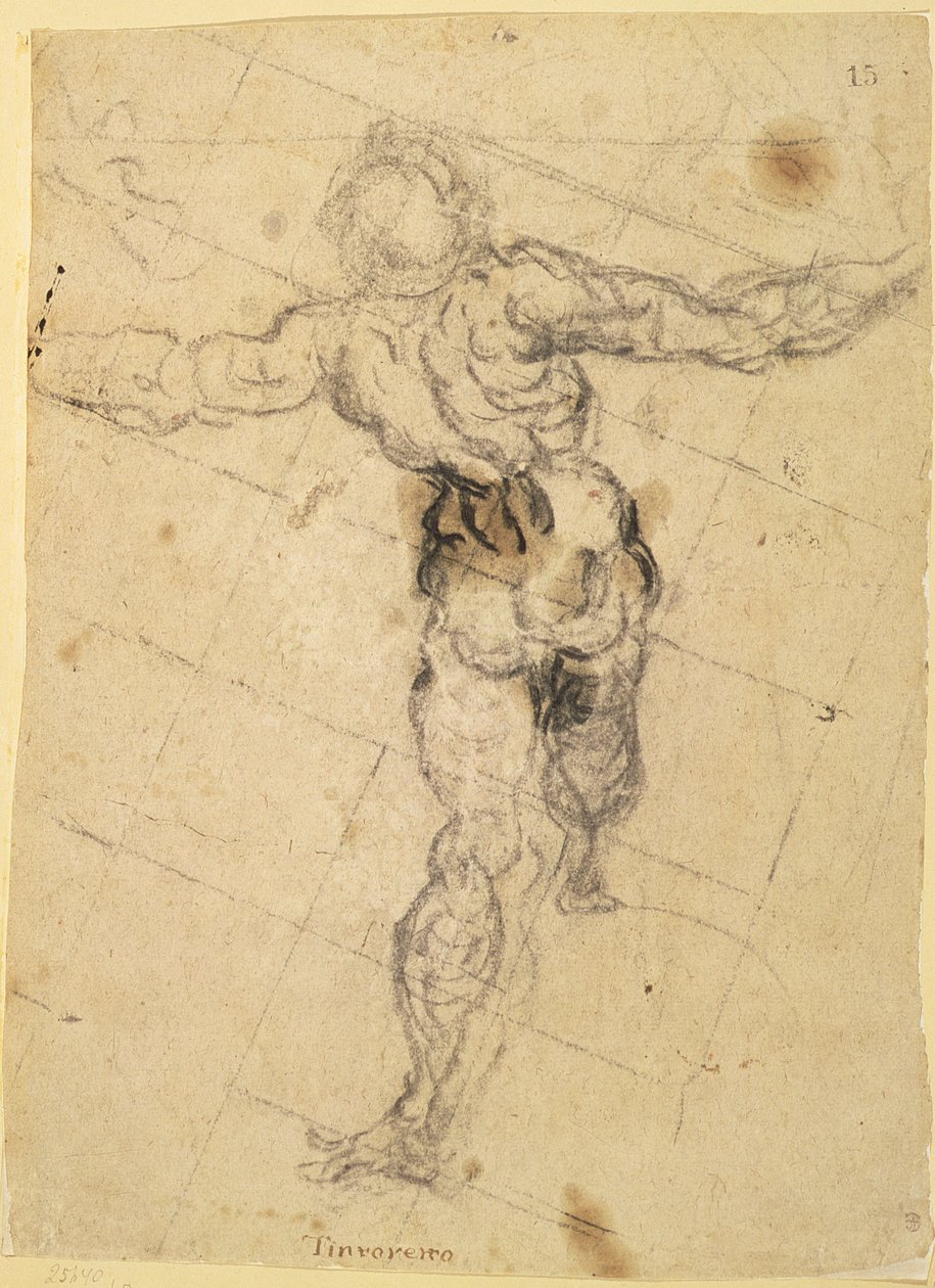 Studie eines männlichen Aktes von hinten von Jacopo Robusti Tintoretto