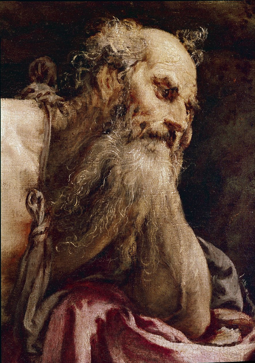 Heiliger Hieronymus in Meditation von Jacopo Bassano