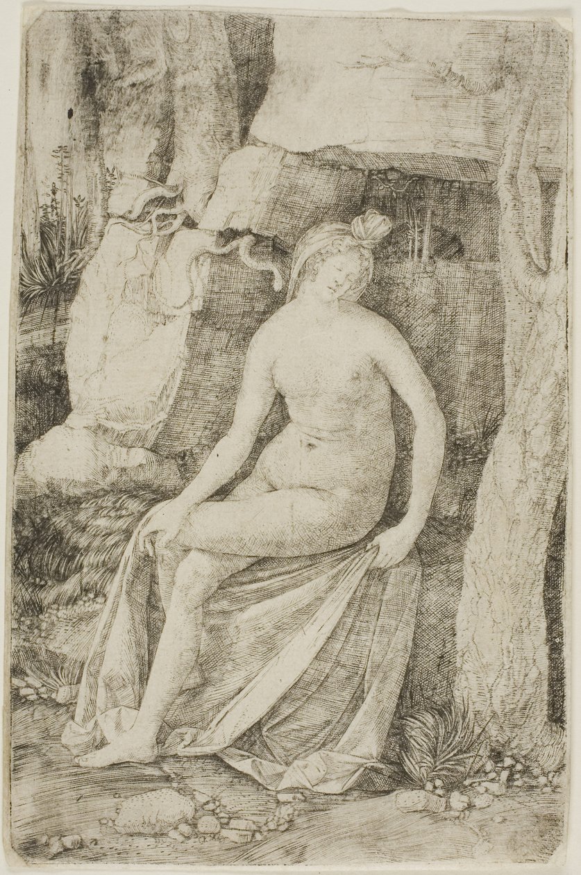 Kleopatra von Jacopo de