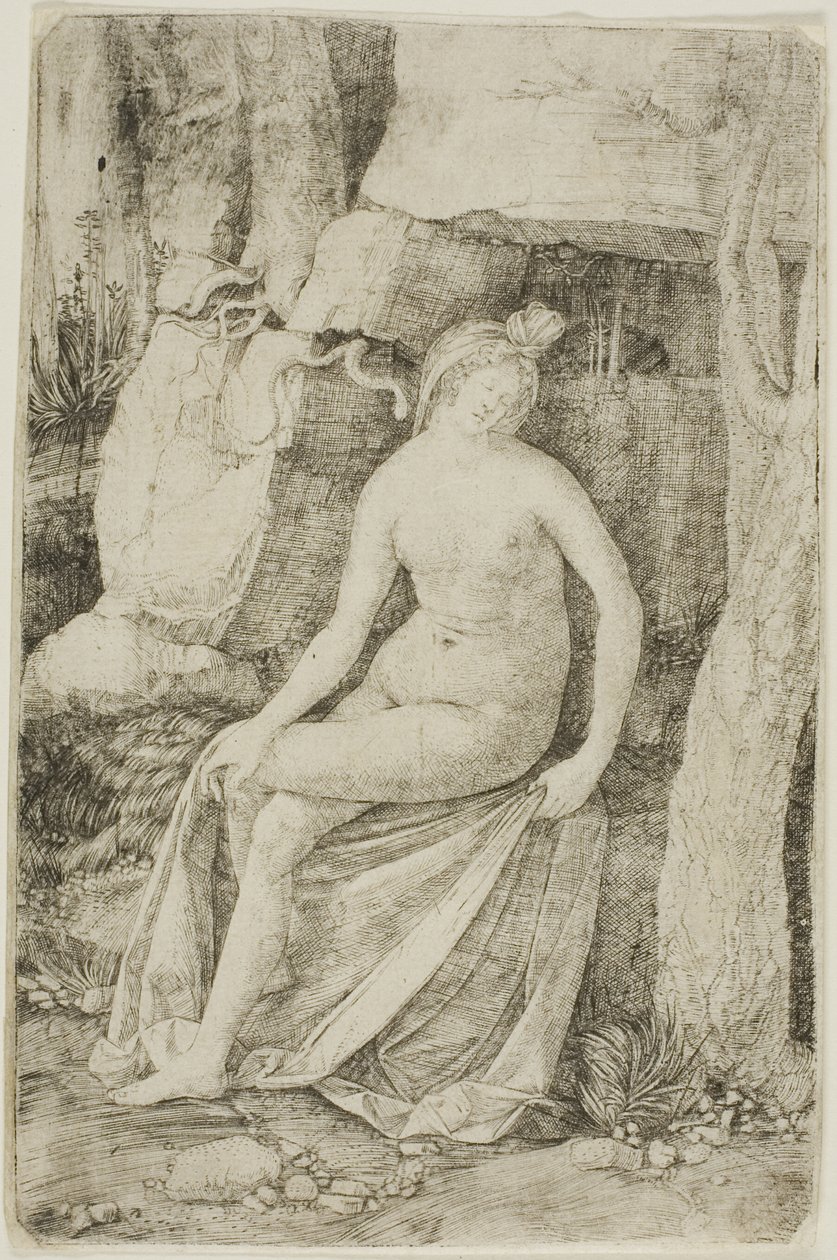 Kleopatra von Jacopo de