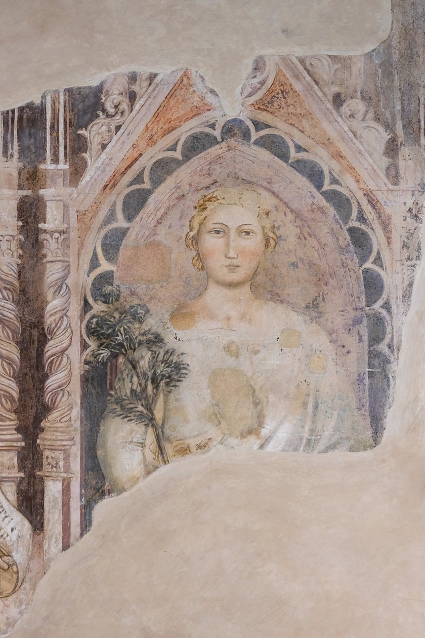 Allegorie der Dialektik (Fresko) von Jacopo di Cione