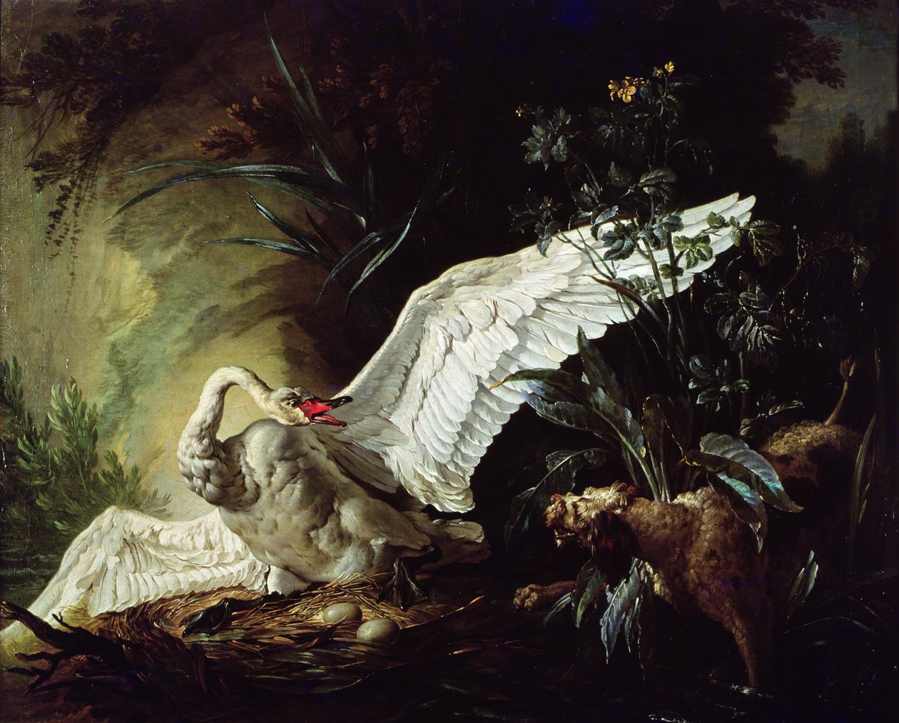 Ein Wasserspaniel greift einen Schwan auf seinem Nest an, 1740 von Jacques Charles Oudry