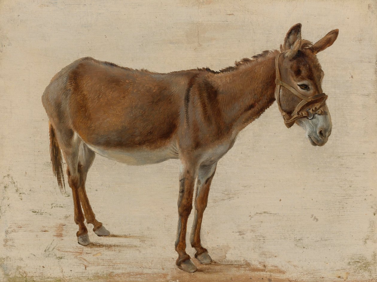 Ein Esel von Jacques Laurent Agasse