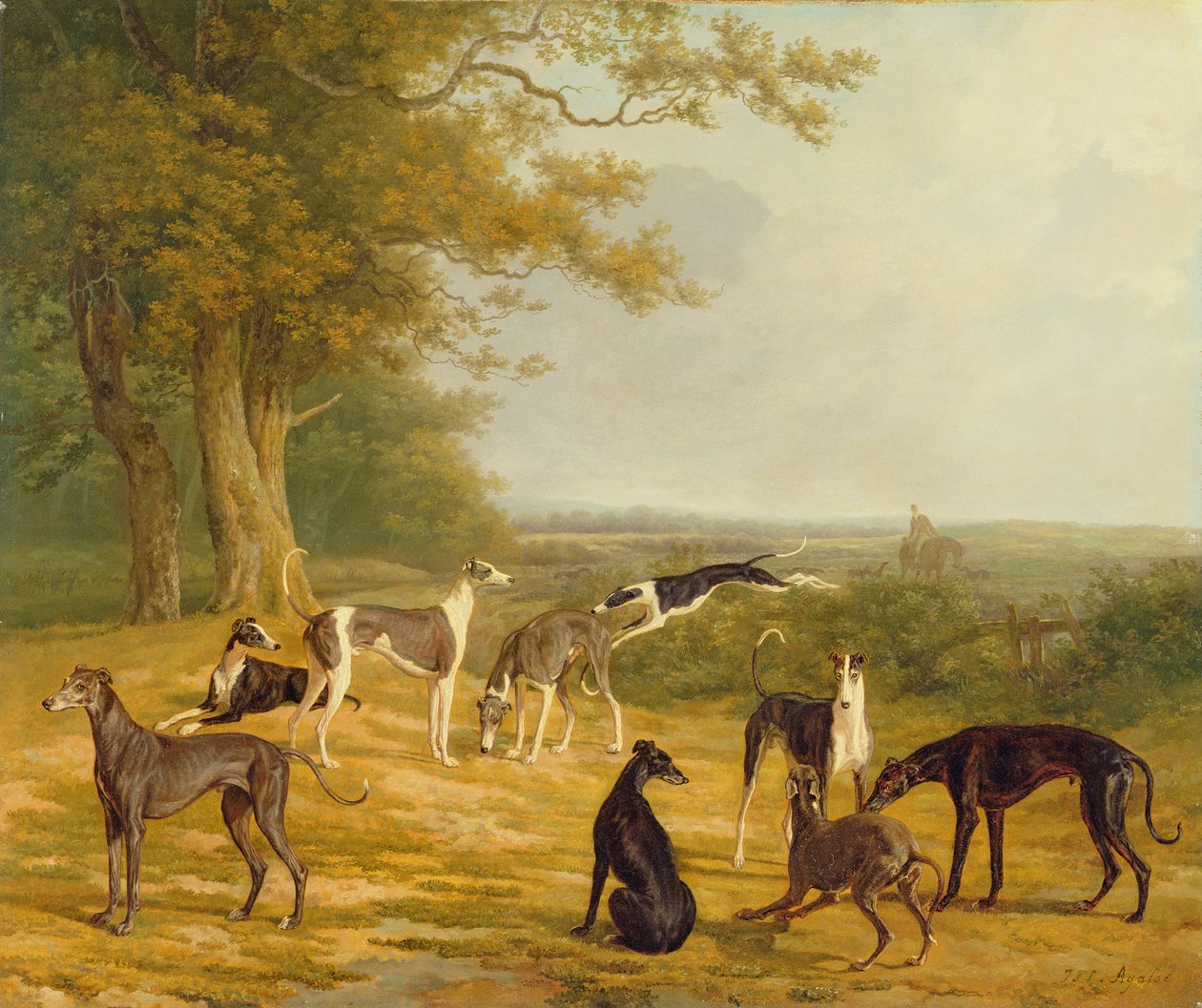 Neun Windhunde in einer Landschaft von Jacques Laurent Agasse