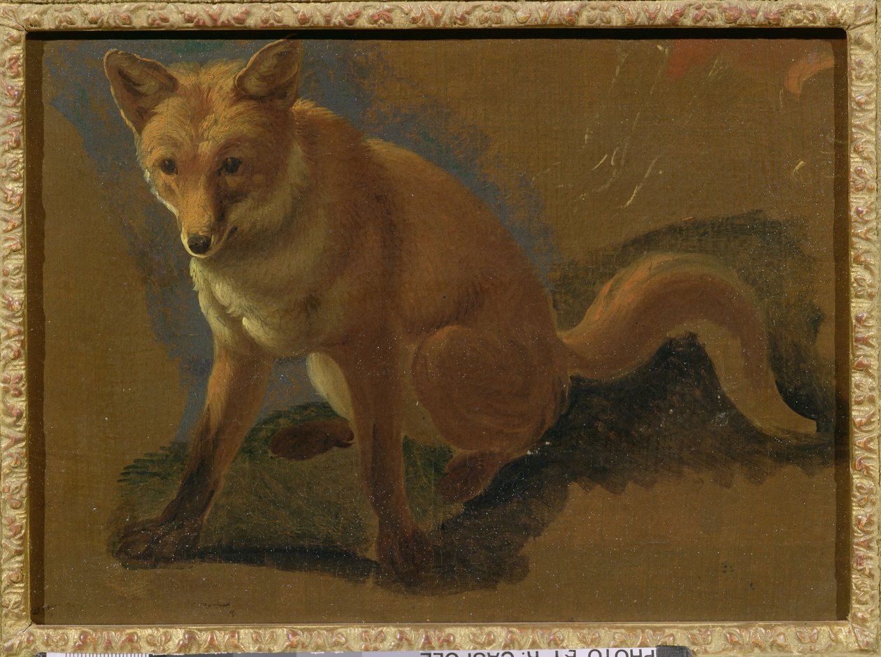 Studie eines Fuchses von Jacques Laurent Agasse
