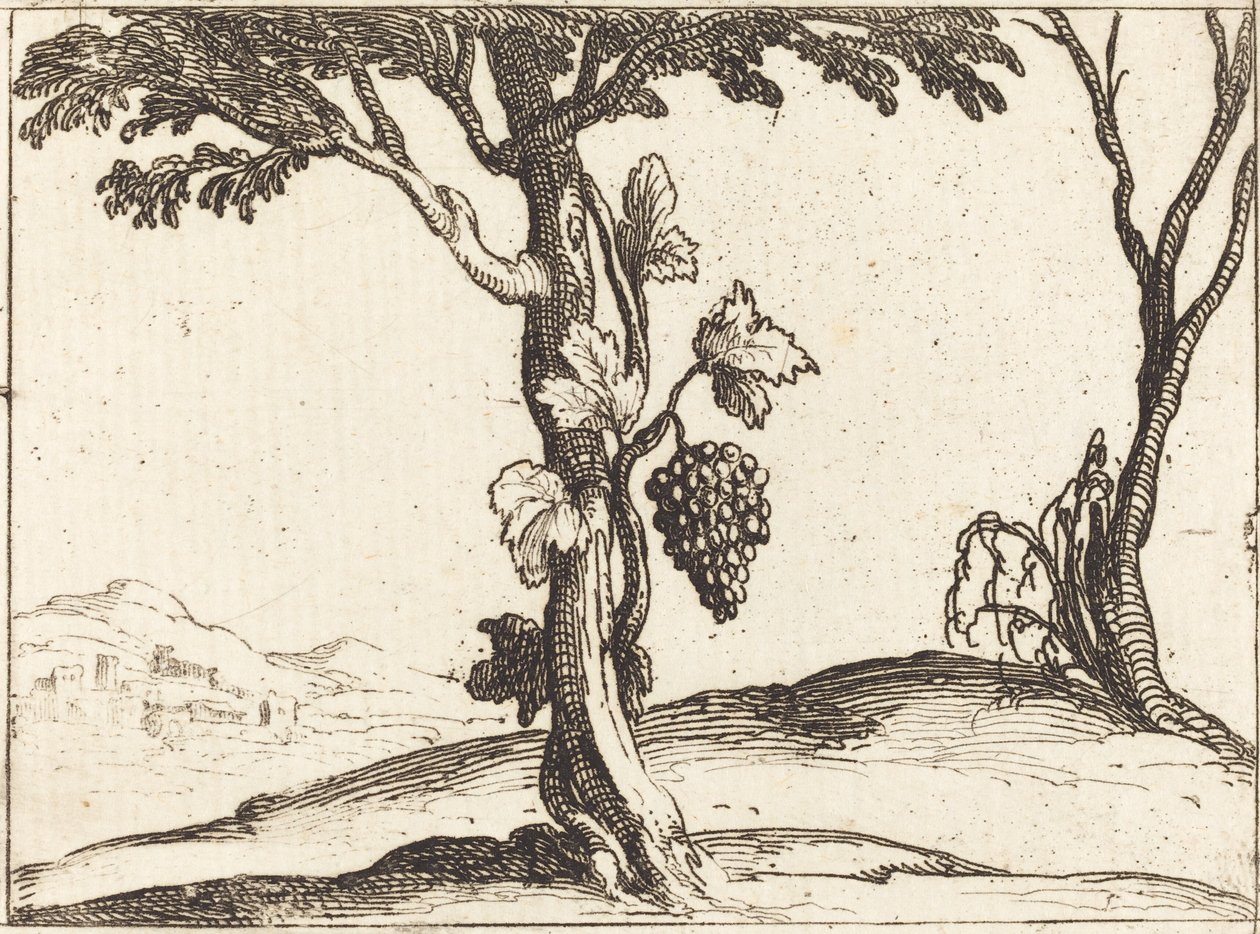 Traubenbündel von Jacques Callot