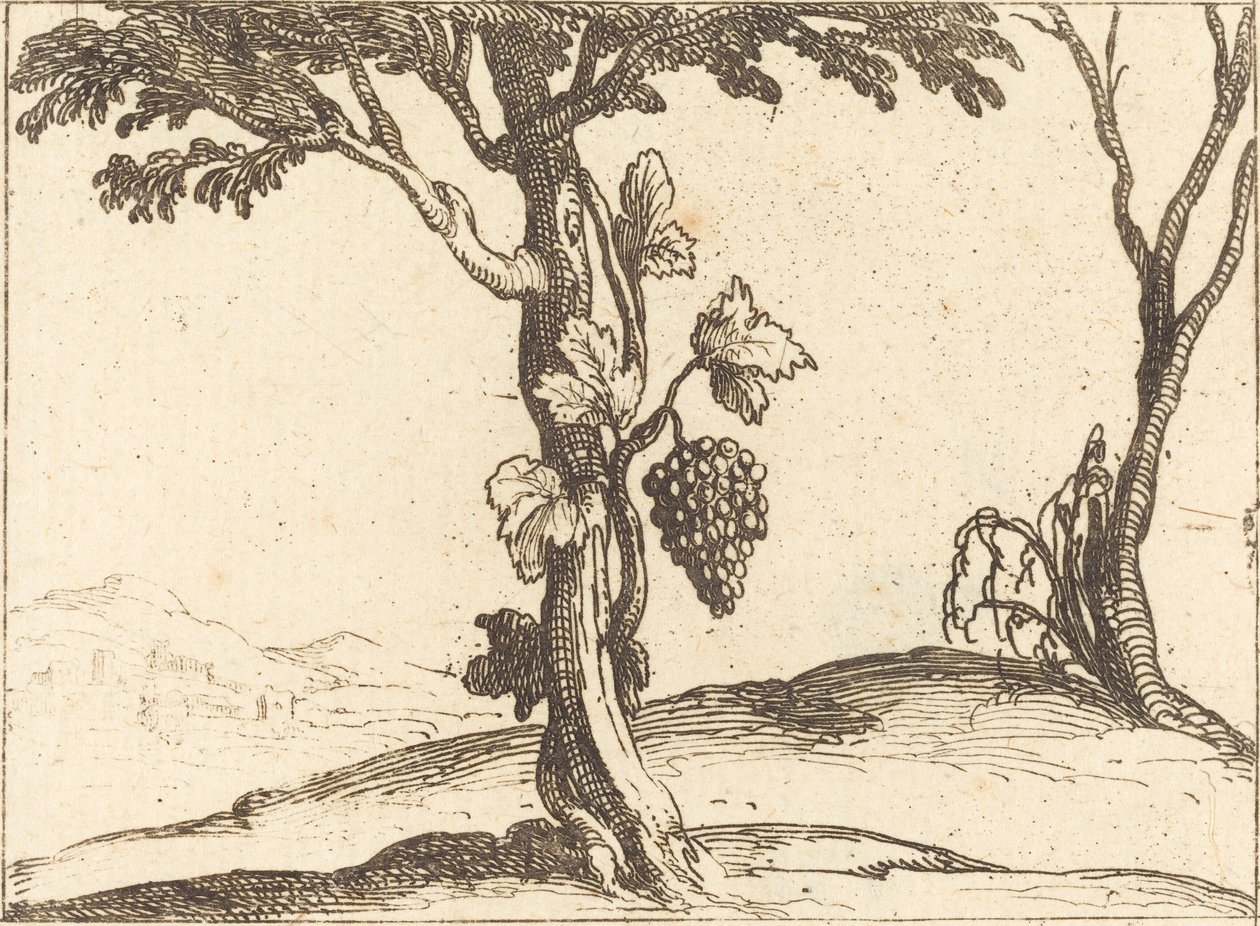 Traubenbündel von Jacques Callot