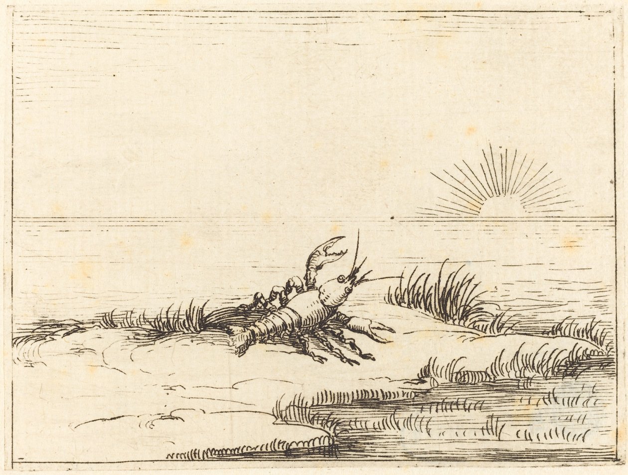 Krebs schaut in die Sonne von Jacques Callot