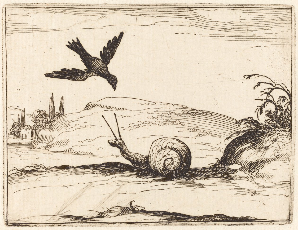 Krähe und Schnecke von Jacques Callot