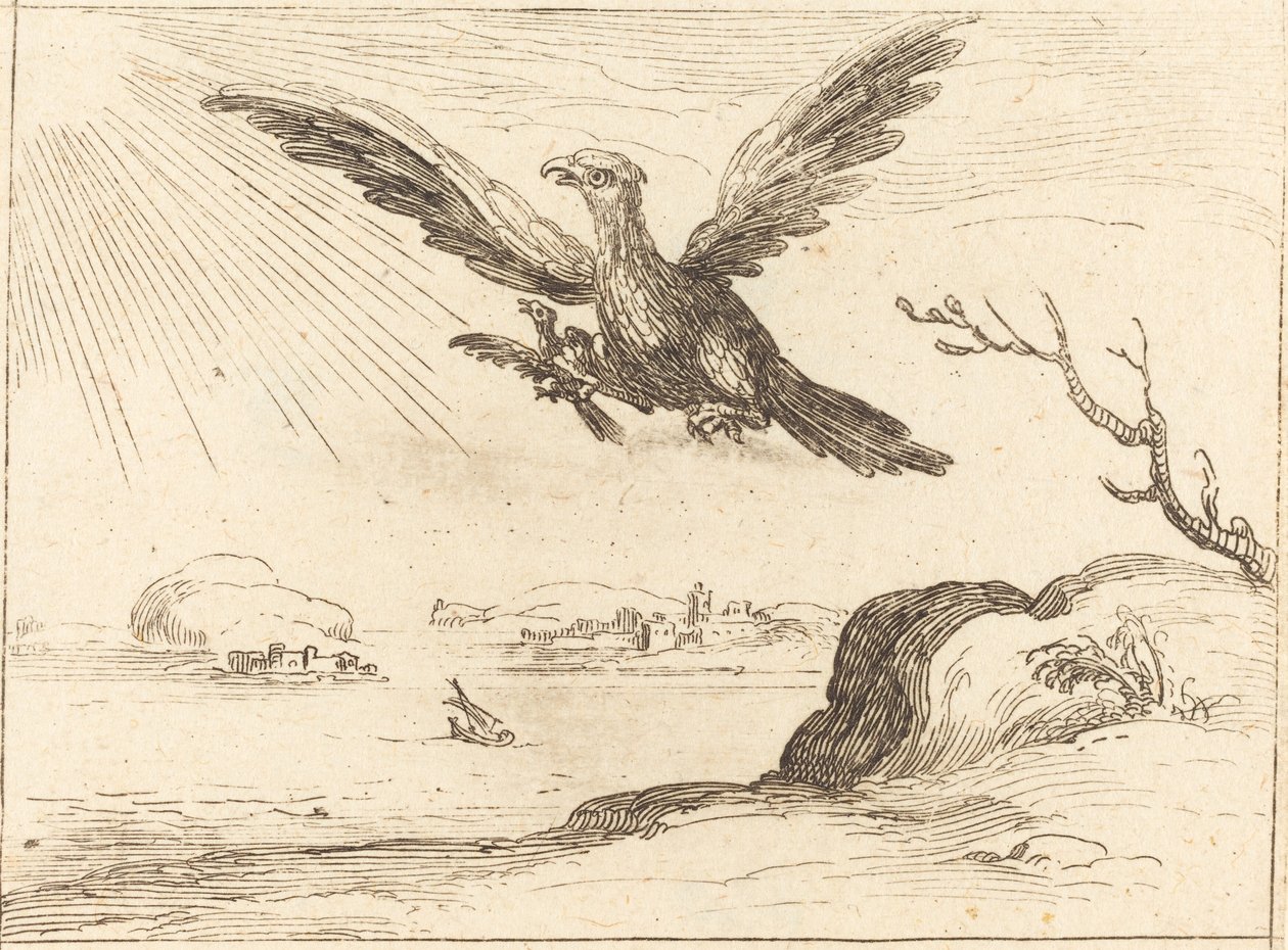 Adler und Junges von Jacques Callot
