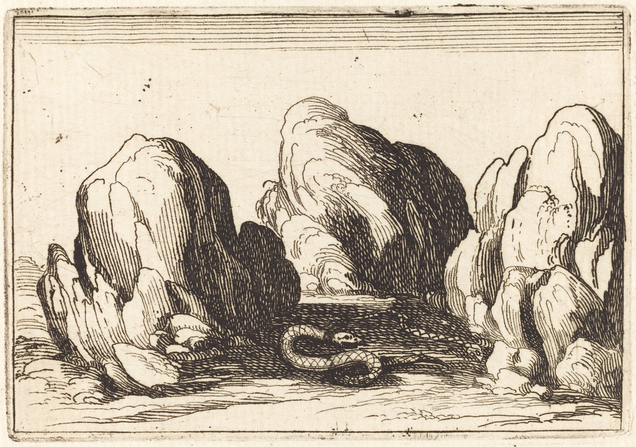 Schlange, 1628 von Jacques Callot