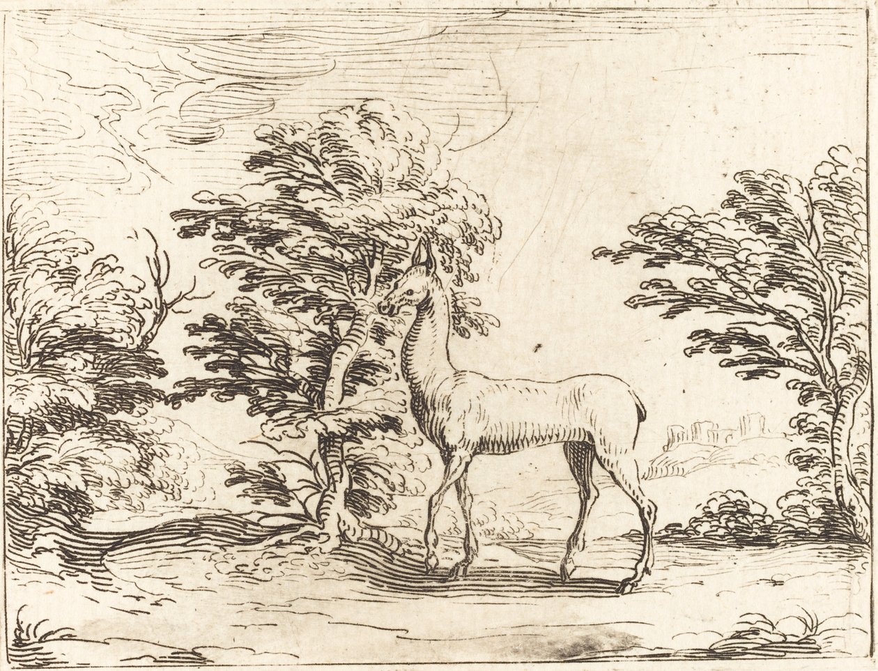 Die Hirschkuh von Jacques Callot