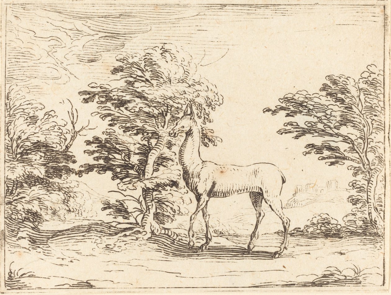 Das Reh von Jacques Callot