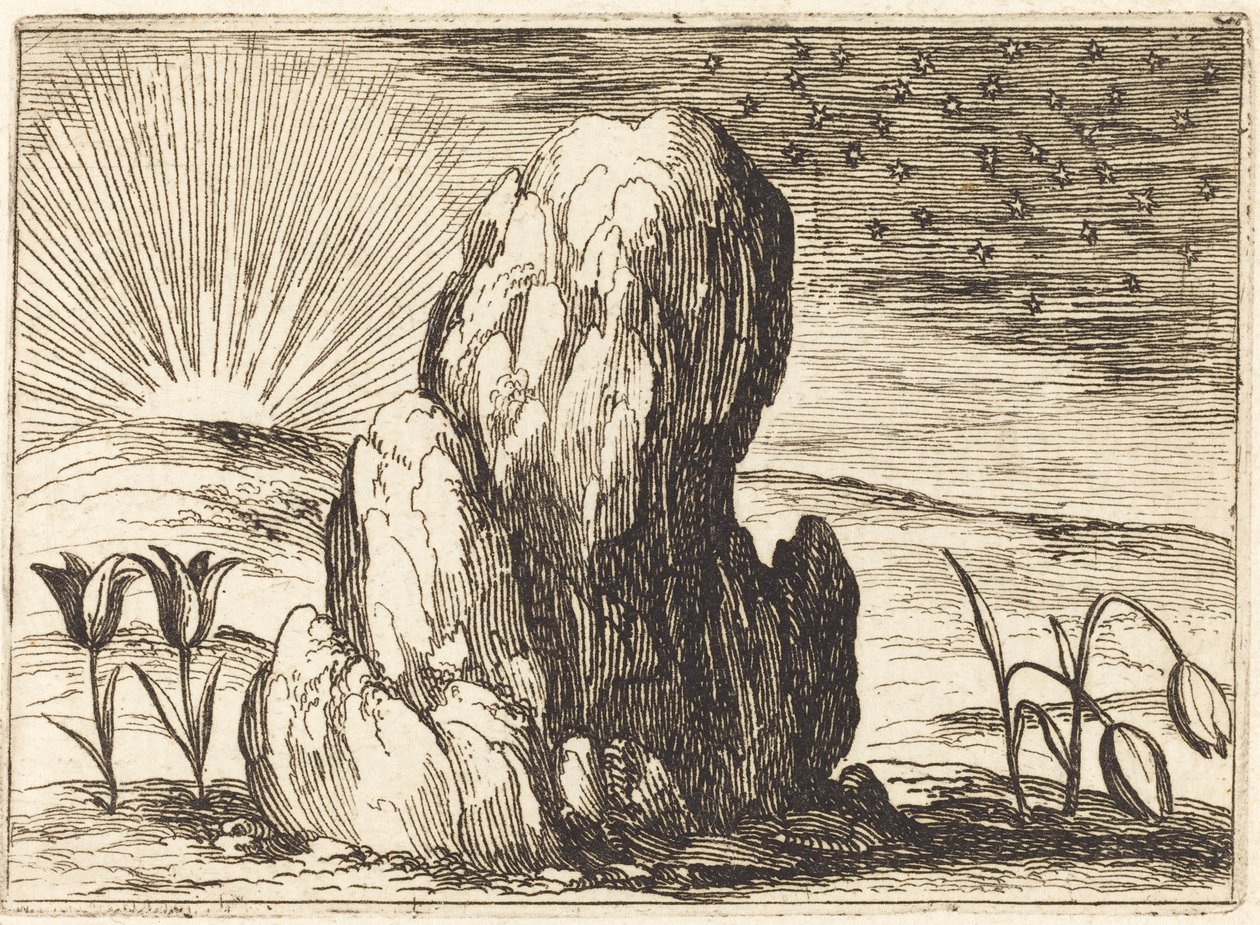 Die Tulpen und die Sonne von Jacques Callot