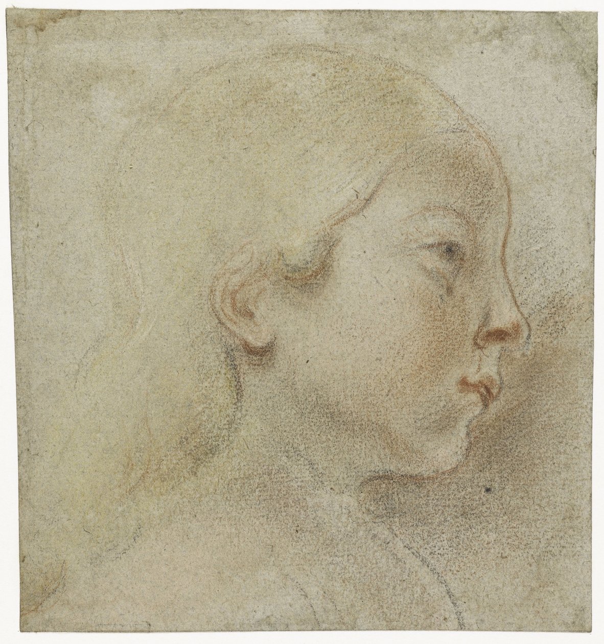 Kinderkopf, nach rechts von Jacques Jordaens