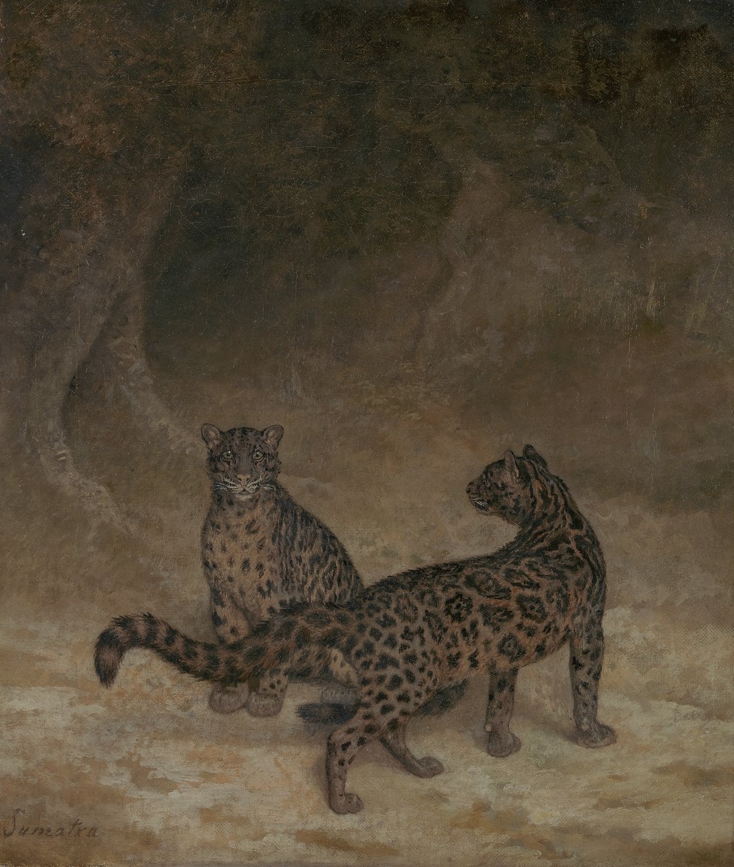 Nebelparder, ca. 1825 von Jacques Laurent Agasse
