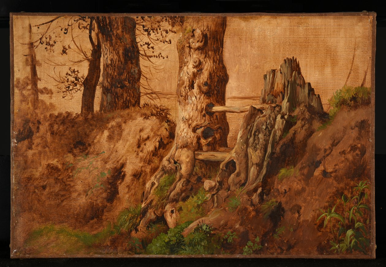 Bäume und Felsen von Jacques Raymond Brascassat