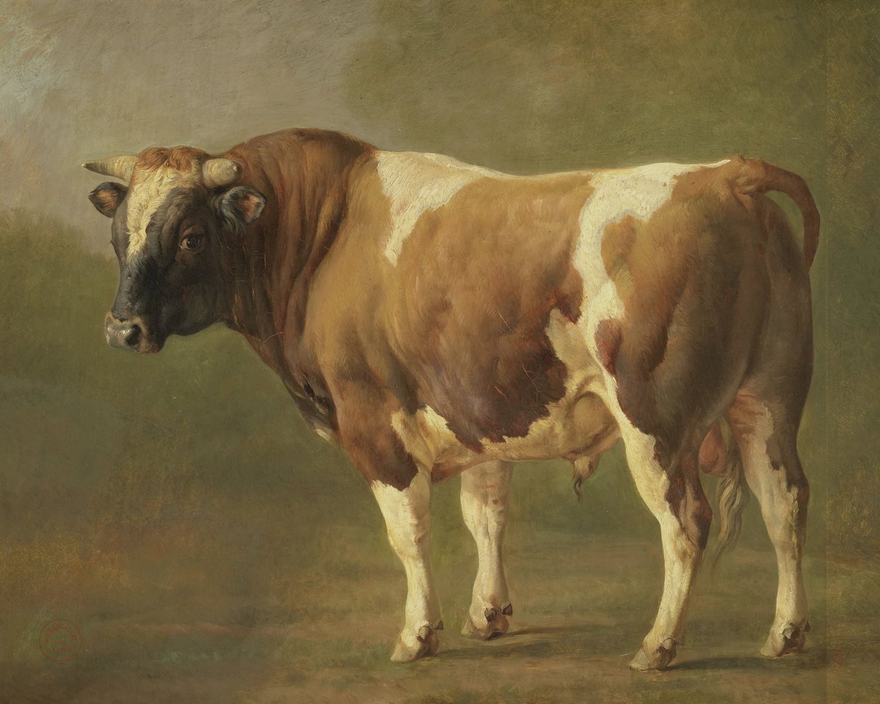 Studie eines Stiers von Jacques Raymond Brascassat