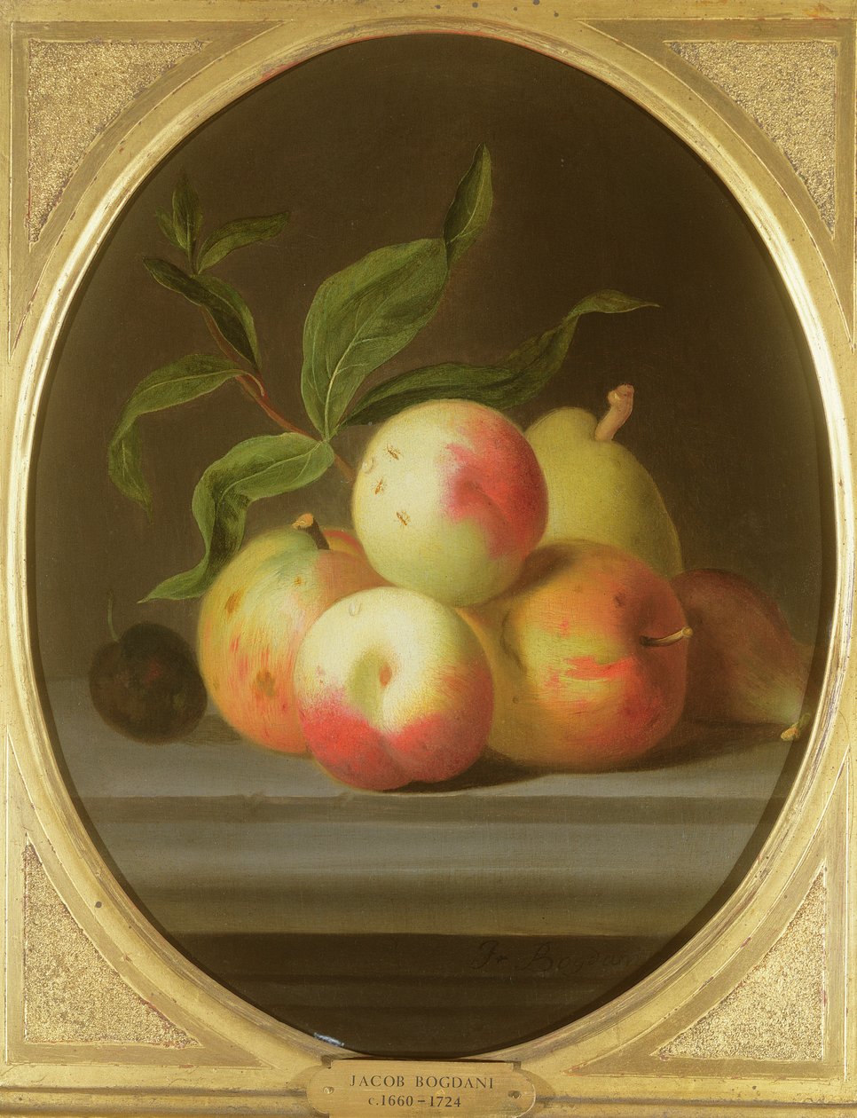 Äpfel auf einem Regal von Jakob Bogdani or Bogdany