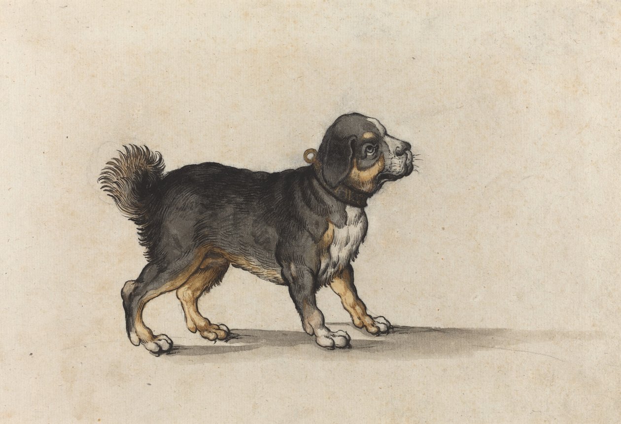 Ein Mastiff mit goldverziertem Halsband von Jakob Walther